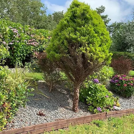 度假居 Greenane House *